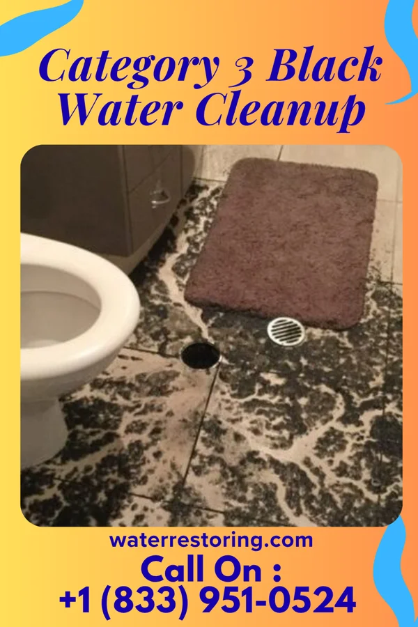 Category 3 Black Water Cleanup in Stanton, KY